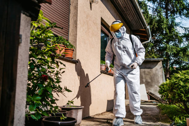 Best Affordable Pest Control Services  in Cross Mountain, TX