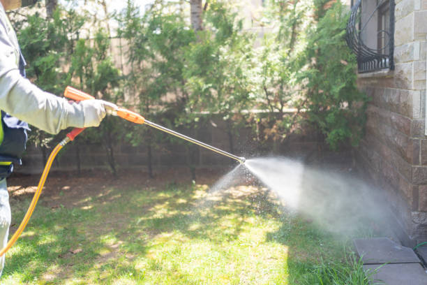 Best Residential Pest Control  in Cross Mountain, TX